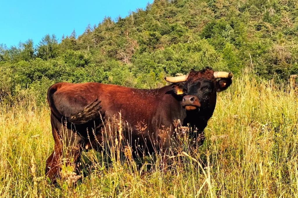 Appartamento Di Montagna Lo Grop Chambave Екстер'єр фото